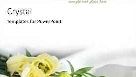  Presentation with pink silk - Slides enhanced with pink silk - beautiful flovers easy to remove background and a white colored foreground