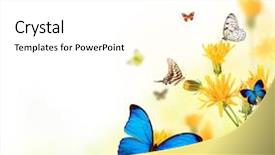  Presentation with butterfly - Cool new presentation with beautiful flower background with exotic backdrop and a white colored foreground