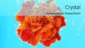  Presentation with sparkling - PPT theme with qualit aqua - beautiful flower in sparkling water background and a arctic colored foreground