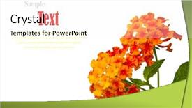  Presentation with flower - Cool new slides with religious worry - very nice monochrome image of backdrop and a dark gray colored foreground