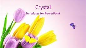  Presentation with beautiful floral border flower design - PPT layouts featuring beautiful flowers and flying butterflies background and a  colored foreground