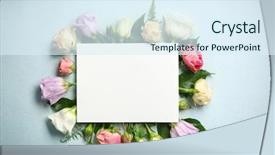  Presentation with beautiful green - Colorful theme enhanced with beautiful flowers and green leaves backdrop and a sky blue colored foreground