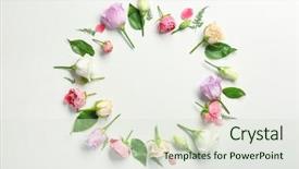  Presentation with beautiful floral border flower design - Amazing PPT layouts having beautiful flowers and green leaves backdrop and a soft green colored foreground
