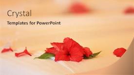  Presentation with bed hotel - Cool new PPT theme with beautiful flowers and petals on bed in hotel room closeup backdrop and a lemonade colored foreground