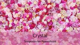  Presentation with beautiful flowers border floral design - Slides enhanced with beautiful flowers as background background and a coral colored foreground