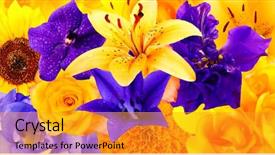  Presentation with floral - Beautiful slide set featuring beautiful flowers background floral seamless backdrop and a gold colored foreground