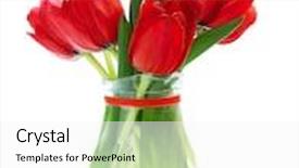  Presentation with flowers vase - Audience pleasing slides consisting of school vouchers written in chalk on a chalkboard on a rustic background backdrop and a dark gray colored foreground