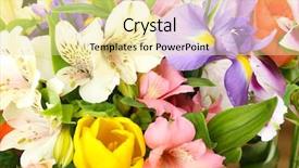  Presentation with bloom - Amazing presentation design having beautiful flowers close up backdrop and a blonde colored foreground