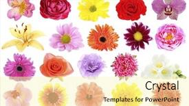  Presentation with bright yellow - Presentation design consisting of beautiful flowers collage background and a blonde colored foreground