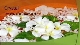  Presentation with floating - Slides consisting of beautiful flowers floating in water background and a crimson colored foreground