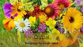  Presentation with flowers - Beautiful slides featuring beautiful flowers in a basket backdrop and a gold colored foreground
