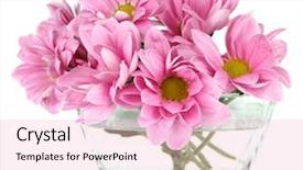  Presentation with bowl - Colorful PPT theme enhanced with ball of twine unrravels on white background backdrop and a soft green colored foreground