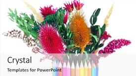  Presentation with flowers vase - Presentation theme featuring beautiful flowers in colorful pencils vase isolated on white background and a white colored foreground