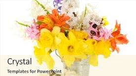  Presentation with beautiful flowers border floral design - Beautiful slide deck featuring beautiful flowers in metal bucket backdrop and a yellow colored foreground