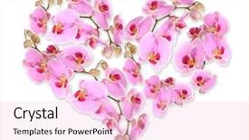  Presentation with heart flowers - Slides featuring beautiful flowers in shape of heart isolated on white background and a lemonade colored foreground