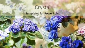  Presentation with blurred flowers - Presentation design consisting of beautiful-flowers-in-shop background and a soft green colored foreground