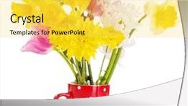  Presentation with beautiful flowers border floral design - Audience pleasing presentation consisting of beautiful flowers in vase isolated backdrop and a  colored foreground