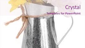  Presentation with white flowers of jasmine - Colorful slide set enhanced with beautiful flowers in vase isolated backdrop and a  colored foreground