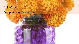  Presentation with flowers vase - PPT theme with beautiful flowers in vase with hydrogel isolated on white background and a gold colored foreground