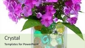  Presentation with flowers vase - Slide deck featuring beautiful flowers in vase with hydrogel isolated on white background and a yellow colored foreground