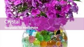  Presentation with flowers vase - Slide set with beautiful flowers in vase with hydrogel isolated on white background and a purple colored foreground