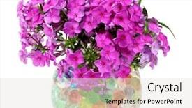  Presentation with flowers vase - Slides consisting of beautiful flowers in vase with hydrogel isolated on white background and a light gray colored foreground