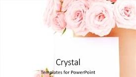  Presentation with pink roses - Presentation design enhanced with beautiful flowers isolated on white background and a white colored foreground