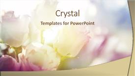  Presentation with color - PPT layouts having beautiful flowers made with color background and a cream colored foreground