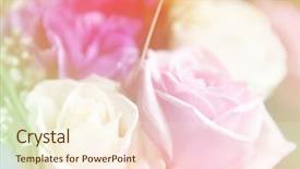  Presentation with beautiful flowers border floral design - Slides consisting of beautiful flowers made with color background and a  colored foreground