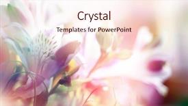  Presentation with green glitter - Cool new slide set with beautiful flowers made with color backdrop and a cream colored foreground