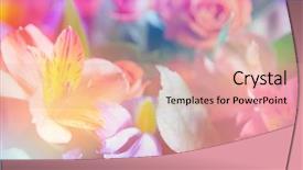  Presentation with green glitter - Cool new PPT theme with beautiful flowers made with color backdrop and a  colored foreground
