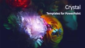  Presentation with flower border colorful made - Presentation design consisting of beautiful flowers made with color background and a  colored foreground