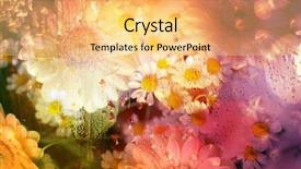  Presentation with flower border colorful made - Presentation theme having beautiful flowers made with color background and a yellow colored foreground