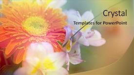  Presentation with beautiful flowers border floral design - Presentation theme enhanced with beautiful flowers made with color background and a yellow colored foreground