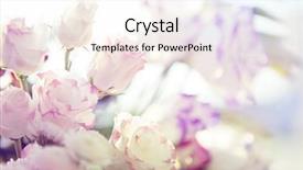  Presentation with green glitter - Presentation design having beautiful flowers made with color background and a sky blue colored foreground