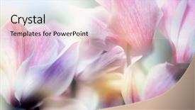  Presentation with green glitter - Slide deck consisting of beautiful flowers made with color background and a lemonade colored foreground