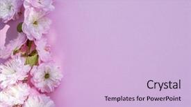  Presentation with notepad blank lined paper - Audience pleasing presentation design consisting of beautiful flowers of almond plant backdrop and a lemonade colored foreground