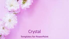  Presentation with paper quilling colorful paper flowers - Presentation design enhanced with beautiful flowers of almond plant background and a pink colored foreground