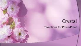  Presentation with paper quilling colorful paper flowers - Colorful presentation theme enhanced with beautiful flowers of almond plant backdrop and a lemonade colored foreground