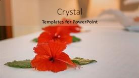  Presentation with bed hotel - Slide deck featuring beautiful-flowers-on-bed background and a coral colored foreground