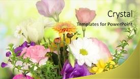  Presentation with beautiful flowers border floral design - Cool new presentation theme with beautiful flowers on bright background backdrop and a  colored foreground