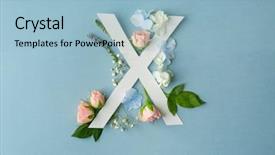  Presentation with letter - Cool new slides with beautiful flowers on color background backdrop and a light blue colored foreground