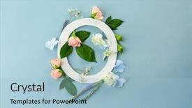  Presentation with beautiful flowers border floral design - PPT theme having beautiful flowers on color background background and a light blue colored foreground