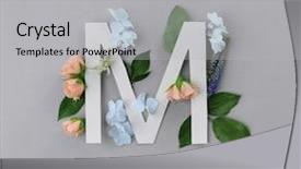  Presentation with beautiful flowers border floral design - Cool new PPT theme with beautiful flowers on color background backdrop and a light gray colored foreground