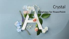  Presentation with beautiful floral border flower design - PPT theme consisting of beautiful flowers on color background background and a light blue colored foreground