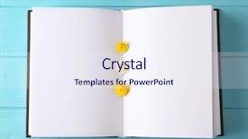  Presentation with brochure - Beautiful presentation featuring beautiful flowers on color backdrop and a sky blue colored foreground