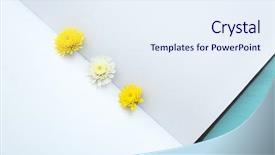  Presentation with brochure - Beautiful slides featuring beautiful flowers on color backdrop and a sky blue colored foreground