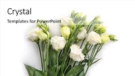  Presentation with beautiful flowers border floral design - PPT theme featuring beautiful flowers on white background background and a white colored foreground