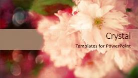  Presentation with watercolor - Colorful presentation theme enhanced with beautiful flowers watercolor background backdrop and a lemonade colored foreground