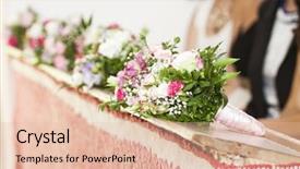  Presentation with catholic wedding - Presentation theme having egg of stick insect - diapherodes gigantea 5 3 mm background and a mint green colored foreground.